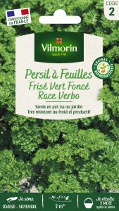 Persil Frisé Vert Foncé Race Verbo